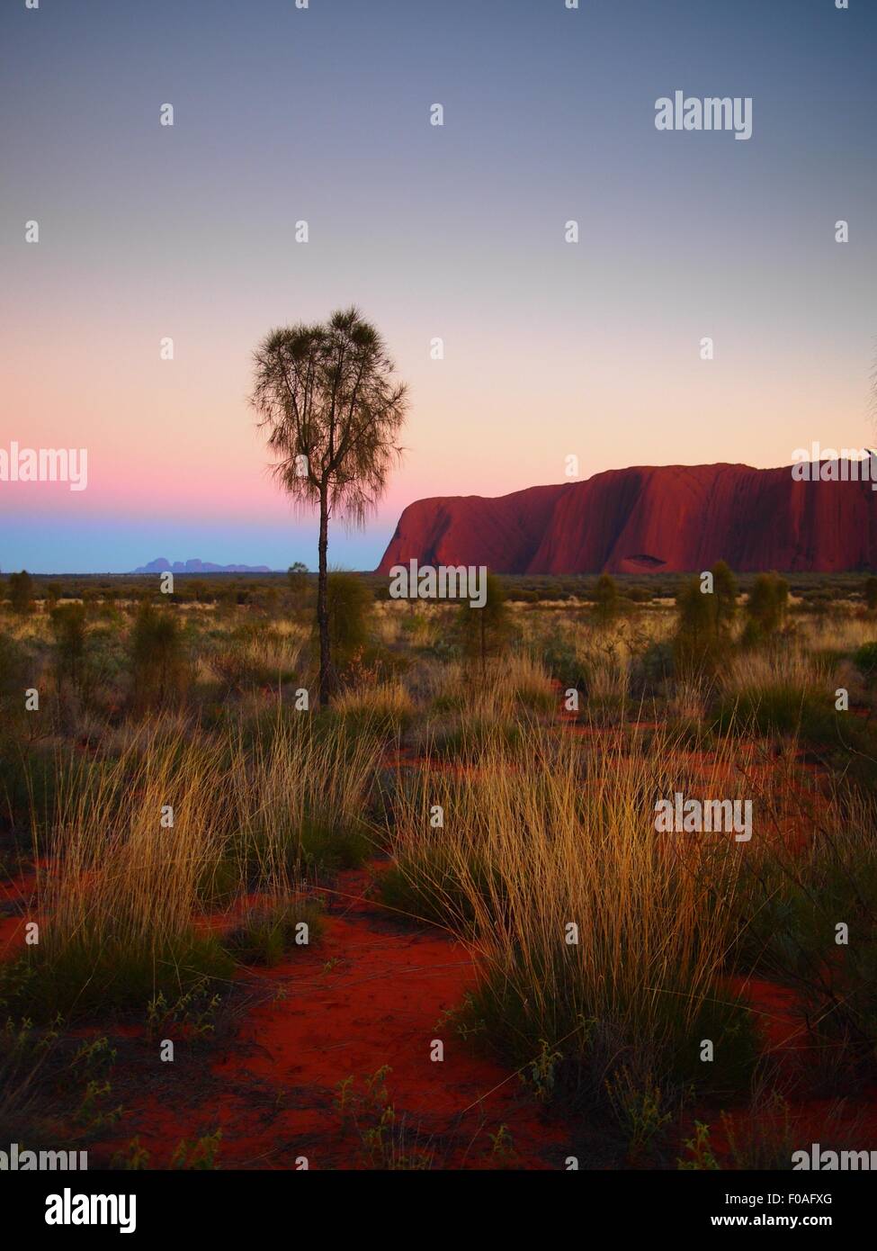 Uluru, Ayers Rock, Australia, Sunrise, Desert Stock Photo