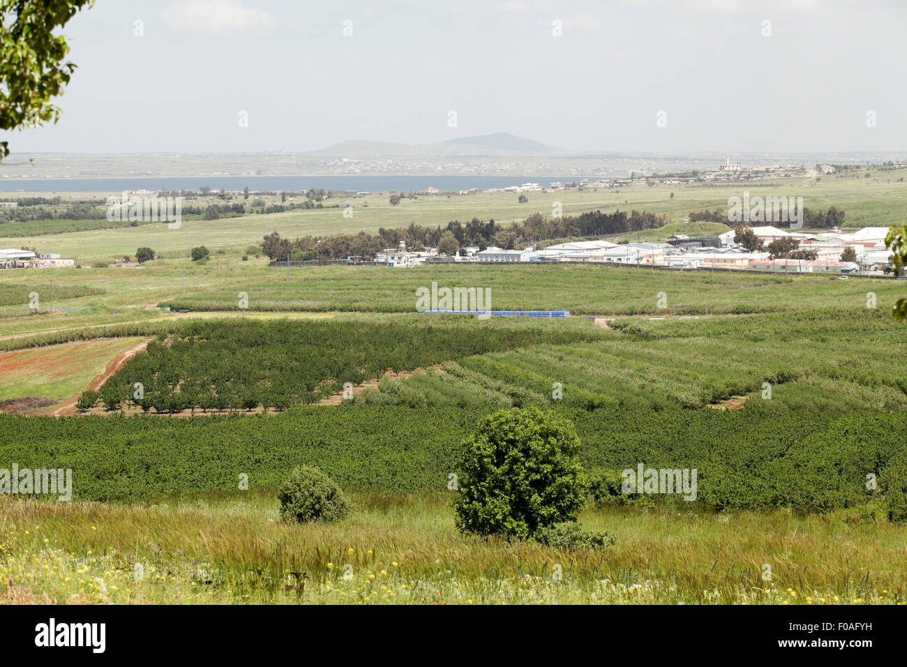 Golan Heights landscape Stock Photo - Alamy