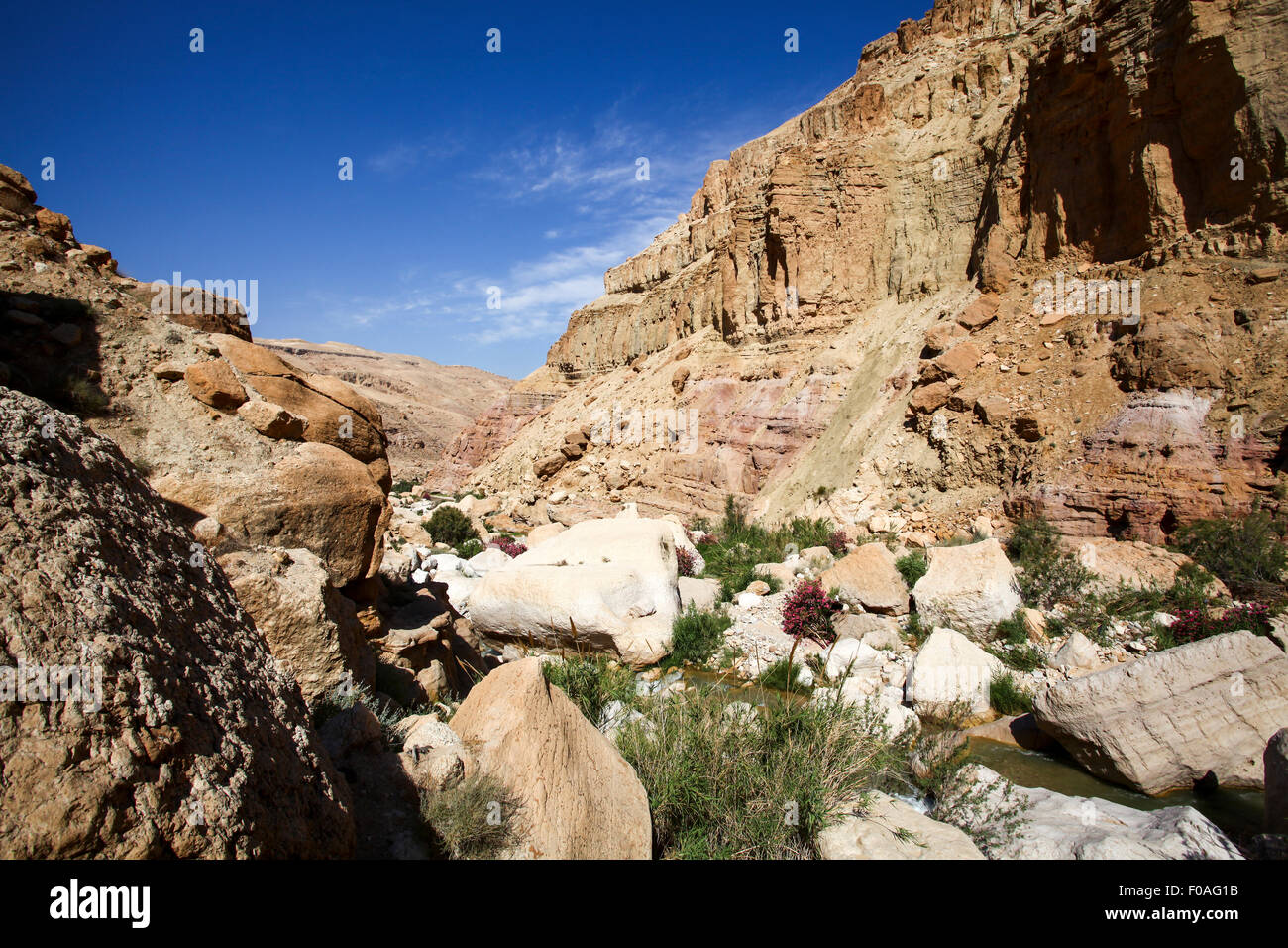 Wadi Zered (Wadi Hassa or Hasa) in western Jordan. A sand stone canyon with fresh running water. Flowing into the Dead Sea Stock Photo