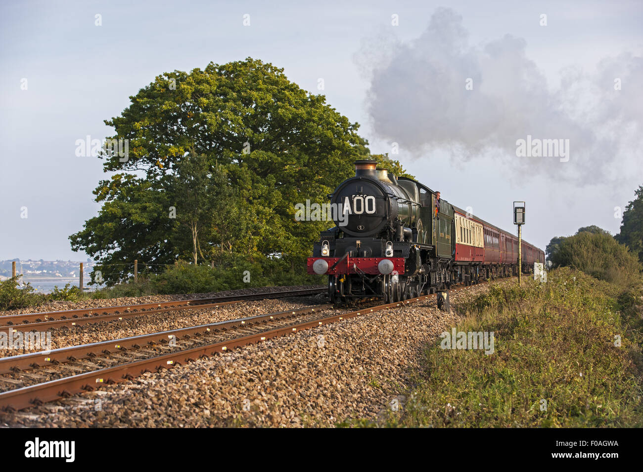 The Cathedrals Express, Nunney Castle, Steaming Through Powderham Stock Photo