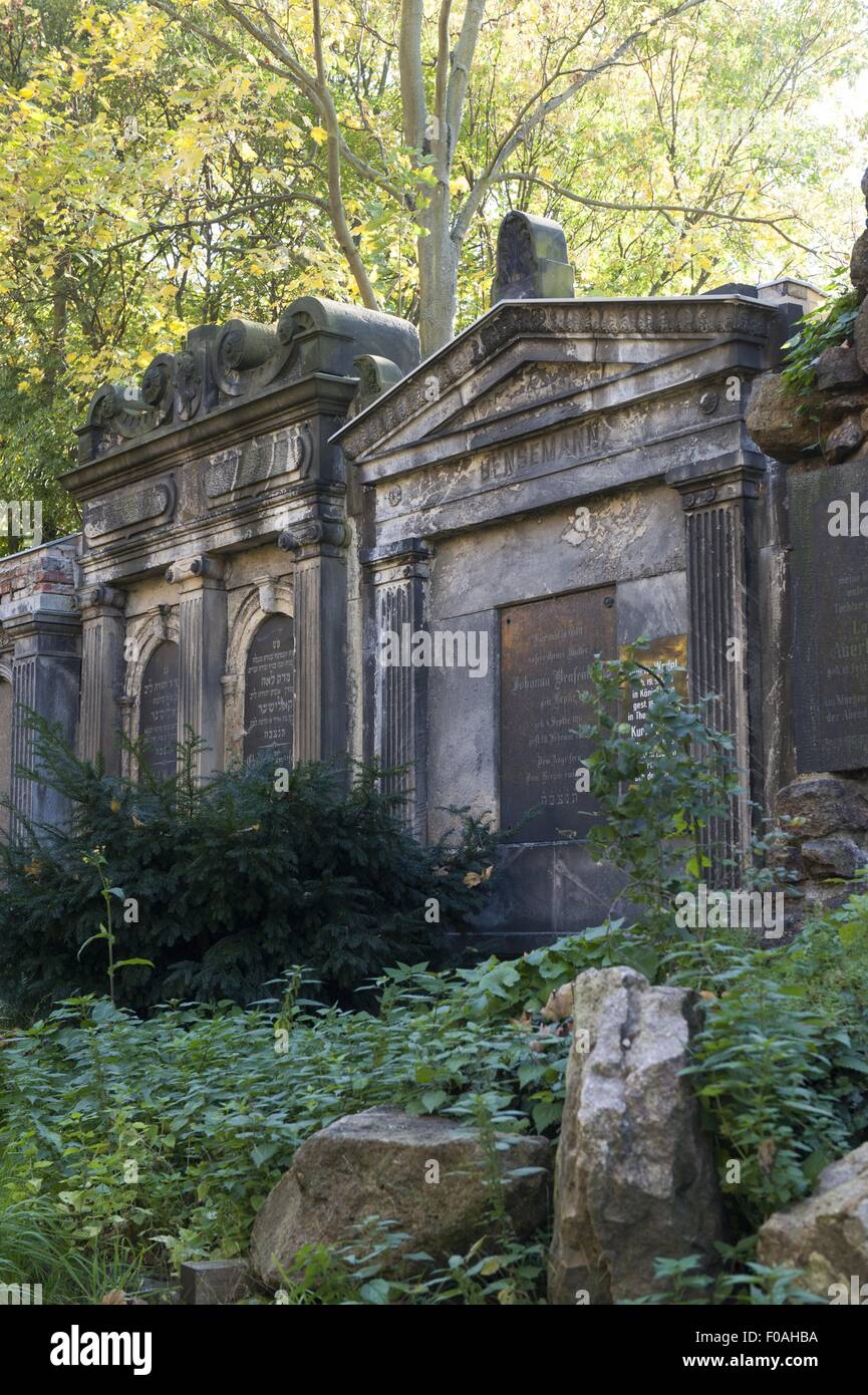 View of trees in Jewish cemetery at Weissensee, Berlin, Germany Stock Photo