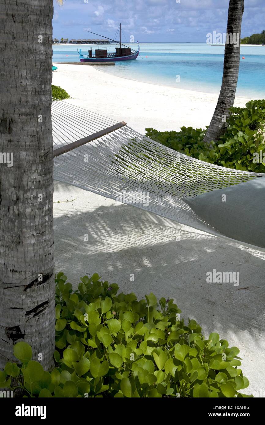 Hammock tied to tree on beach in Veligandu Huraa Island, Maldives Stock
