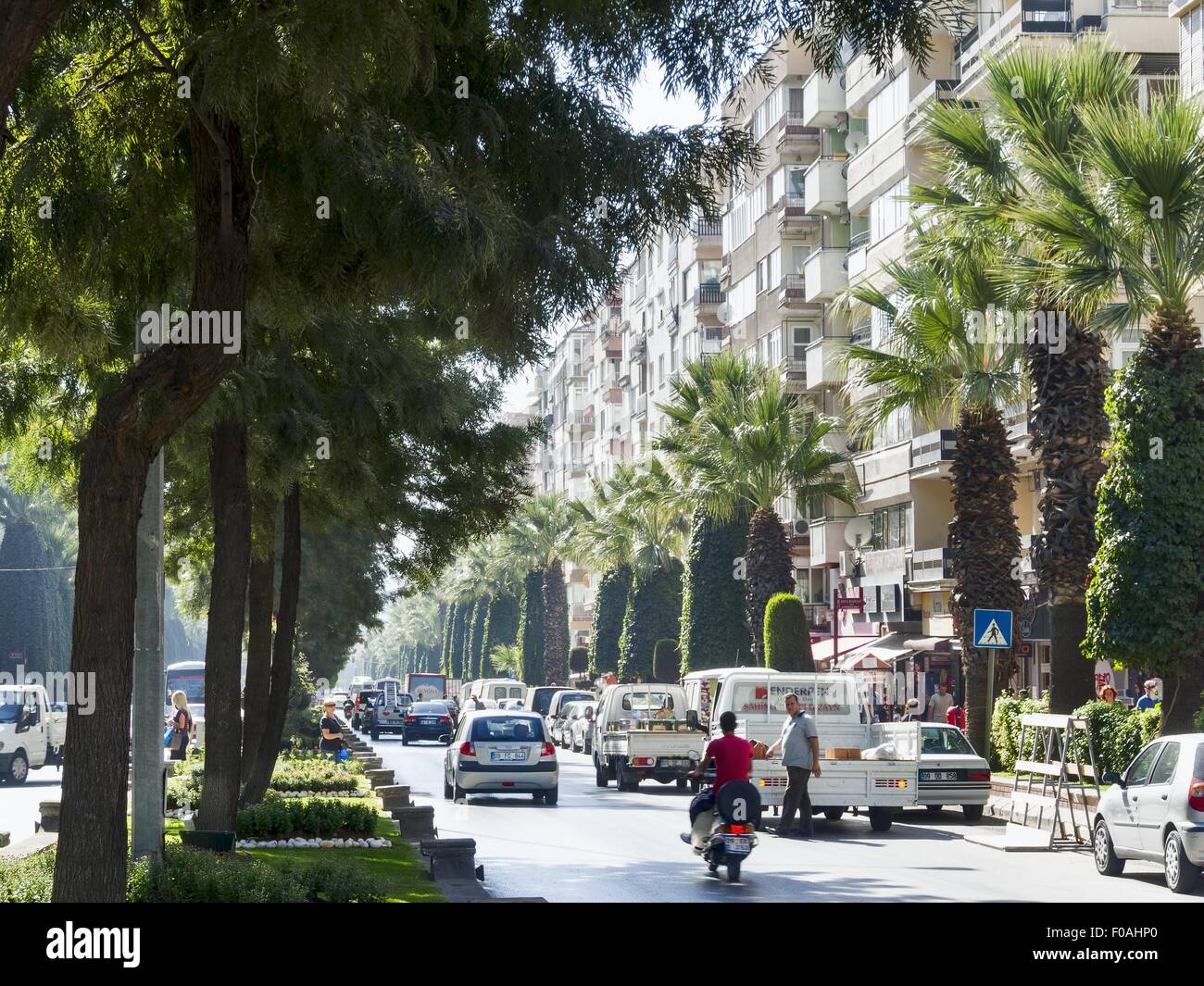 Busy street with palm tree on both side of road in Aydin, Turkey Stock Photo
