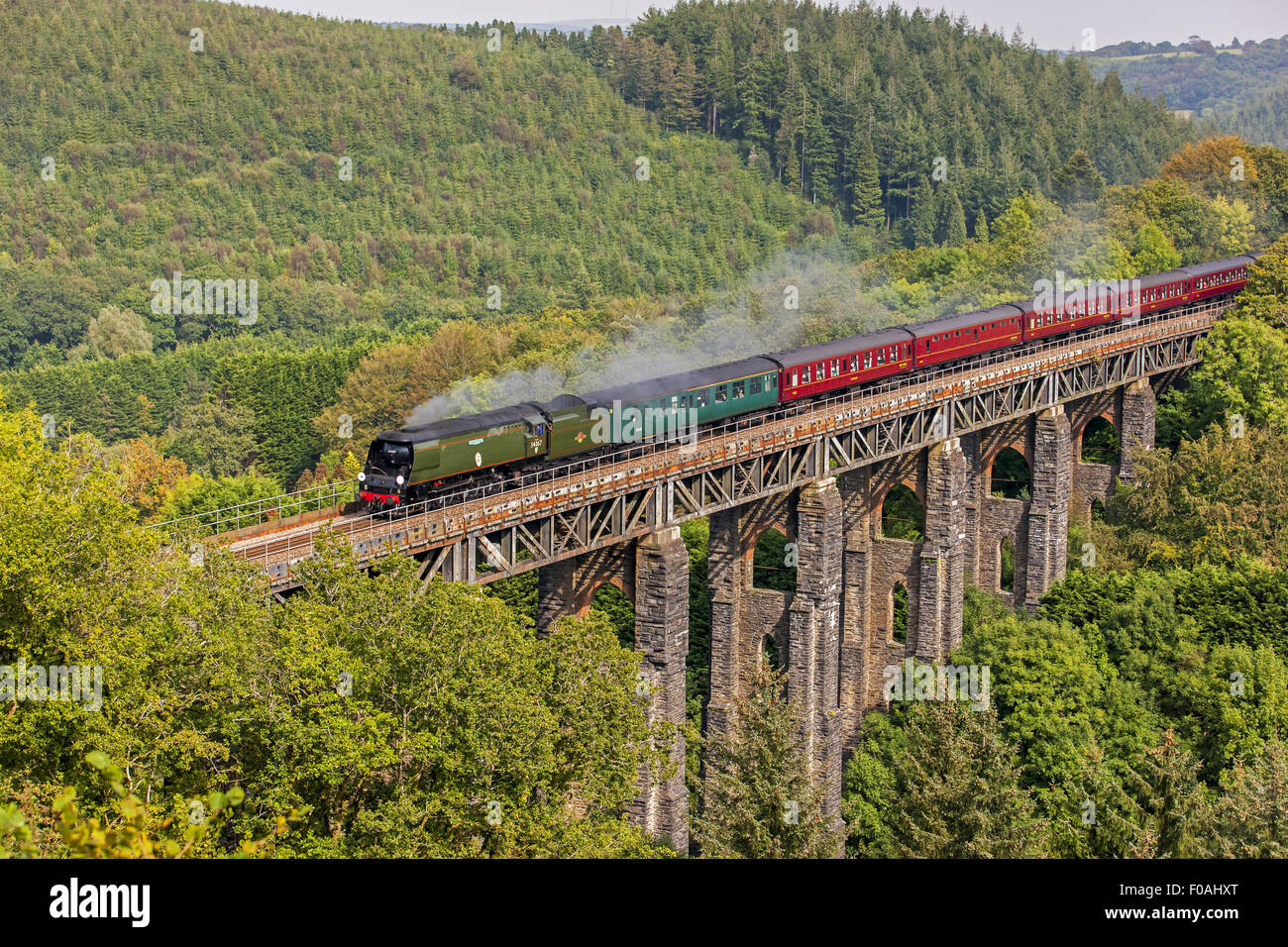 The Royal Duchy, Tangmere, Steaming Over St Pinnock Viaduct Stock Photo