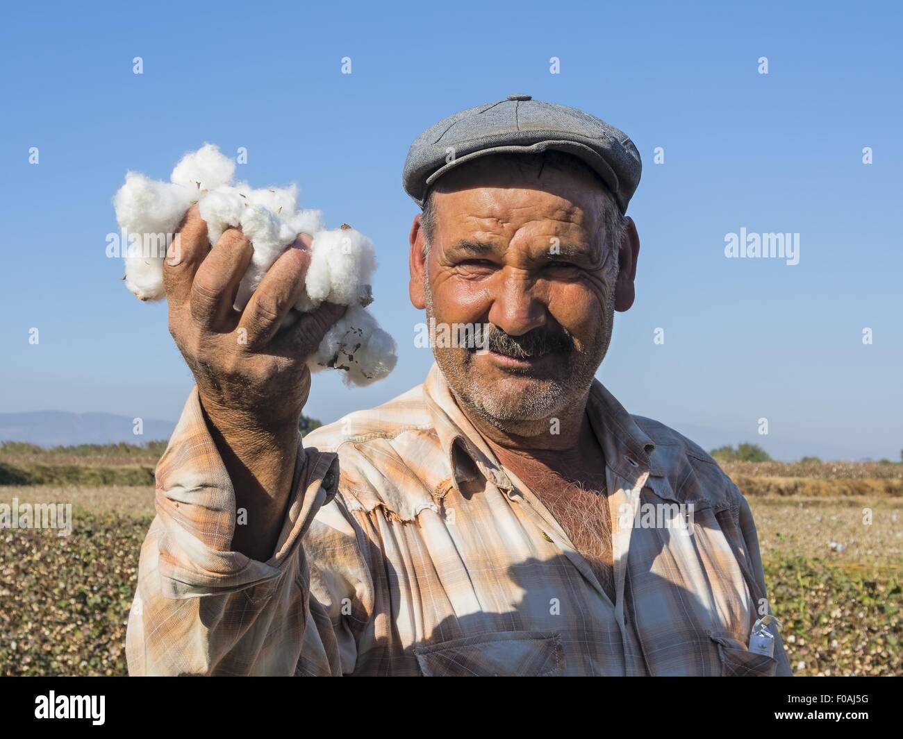 Male cotton picker holding cotton in Aegean Region, Turkey Stock Photo