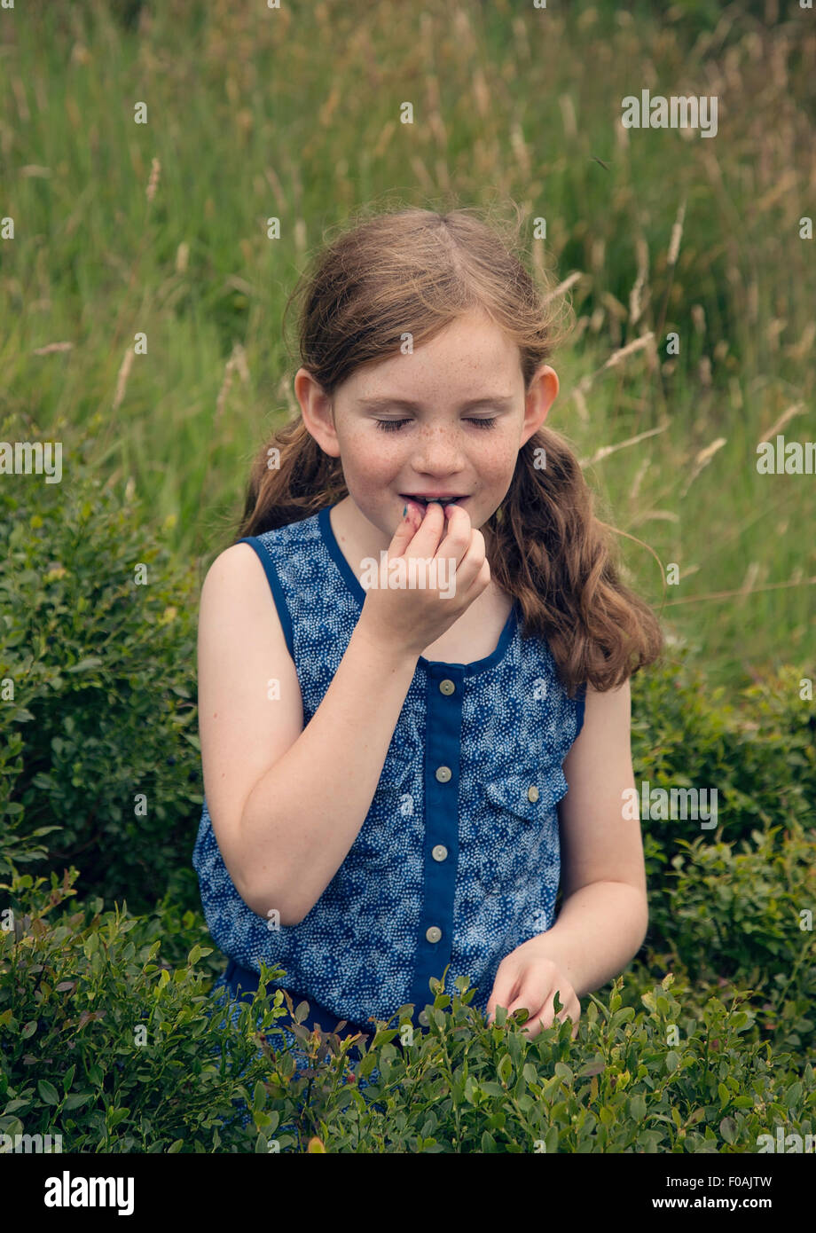 A young daughter spending a summer afternoon finding bilberries on the Otley chevin in West Yorkshire. Stock Photo
