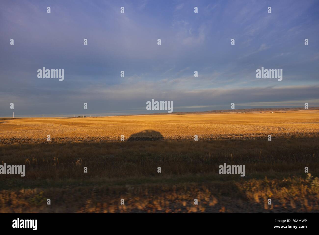 Moose jaw hires stock photography and images Alamy