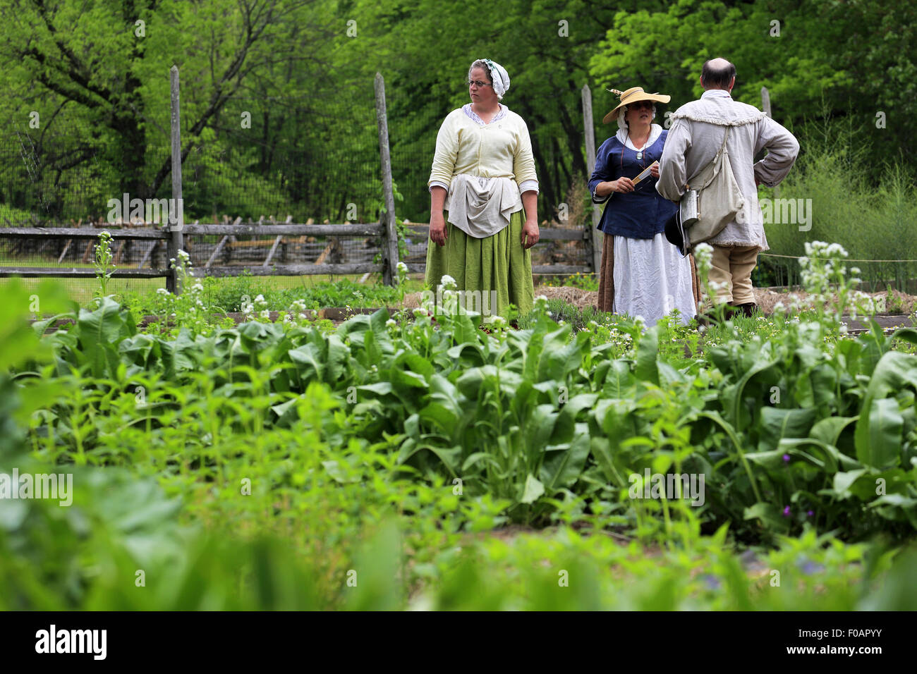 Historical reenactors in vegetable garden at Jockey Hollow Encampment during Revolutionary War Reenactment Morristown NJ USA Stock Photo