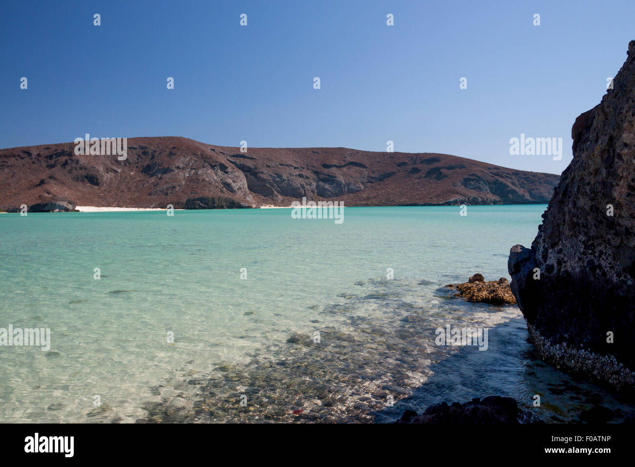 Balandra Beach La Paz Baja California Sur Mexico Stock Photo Alamy