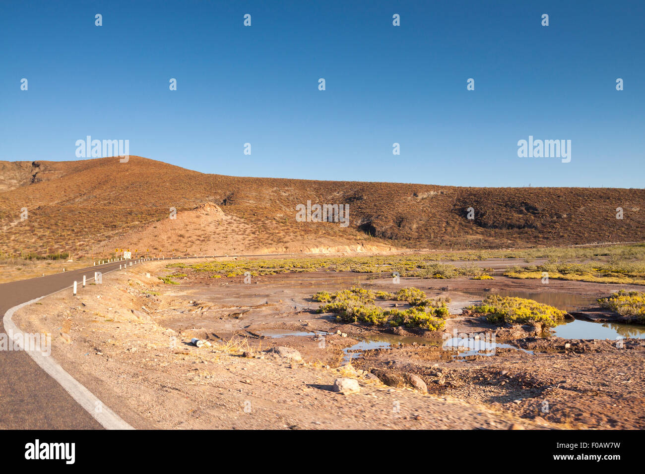 Desert landscape in Mexico. La Paz, Baja California Sur. Mexico Stock Photo