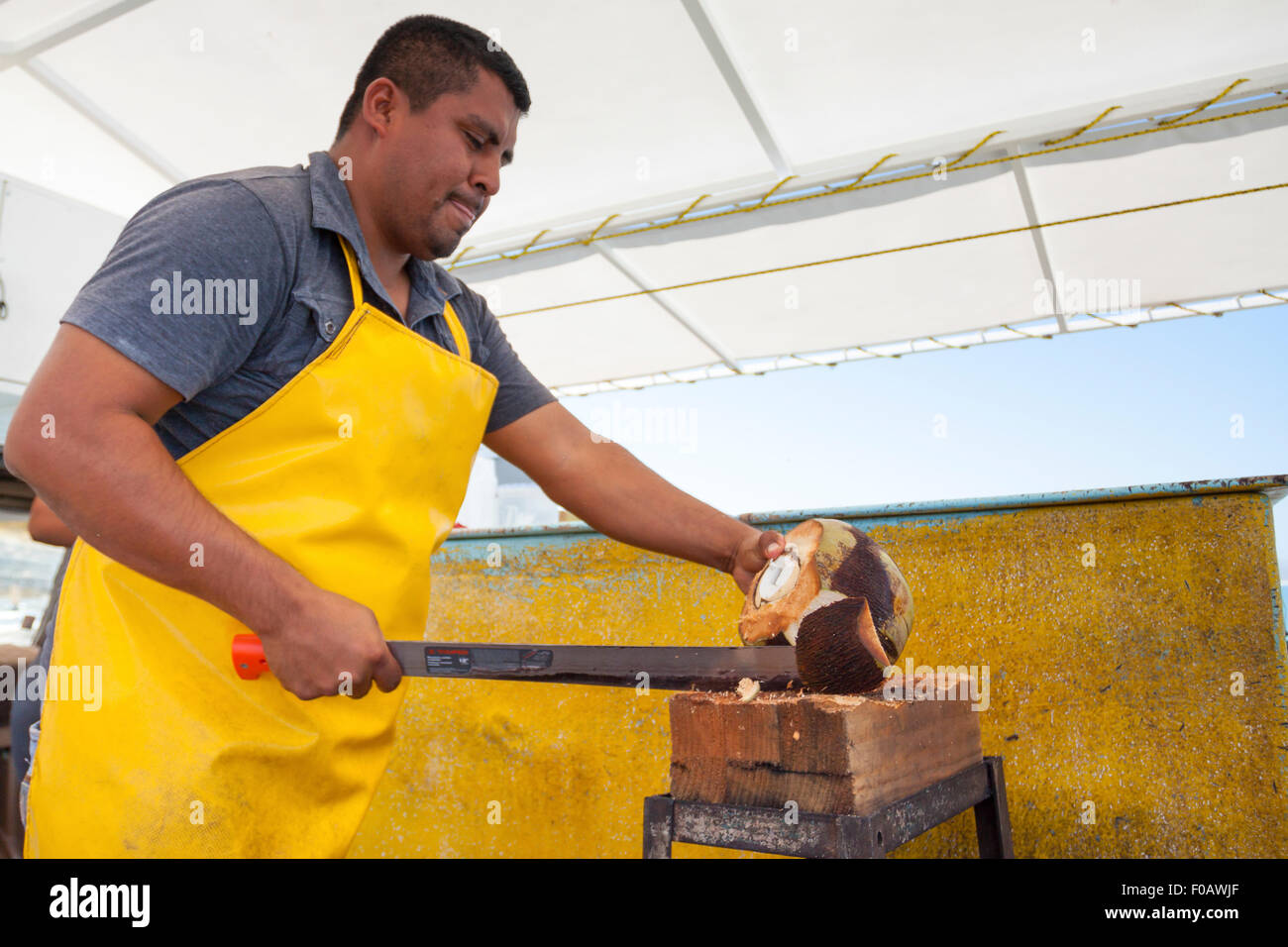 Expert man open the coco with machete. Cabos San Lucas, Baja California Sur. Mexico Stock Photo