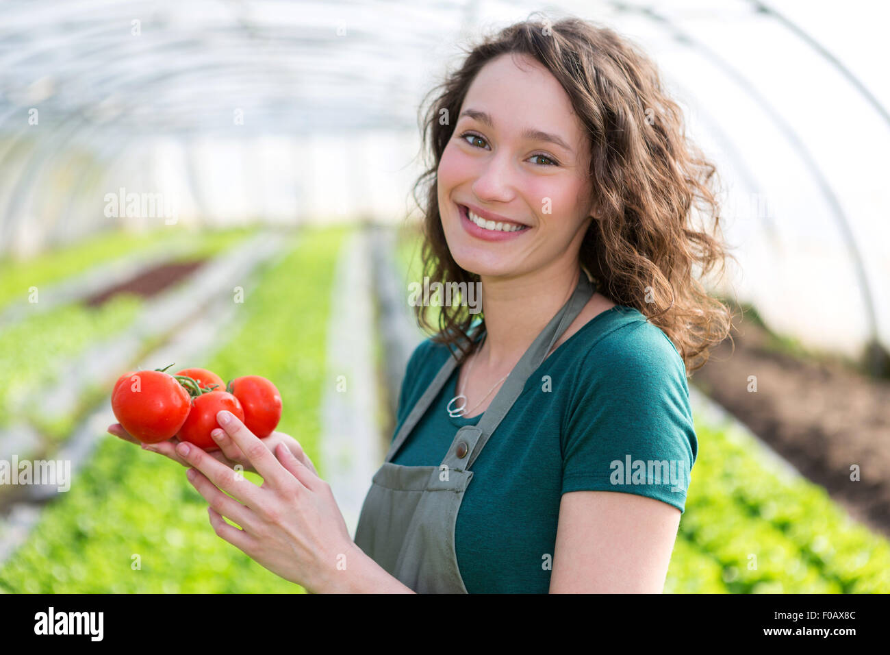 View of a Young attractive farmer harvesting tomatoes Stock Photo - Alamy
