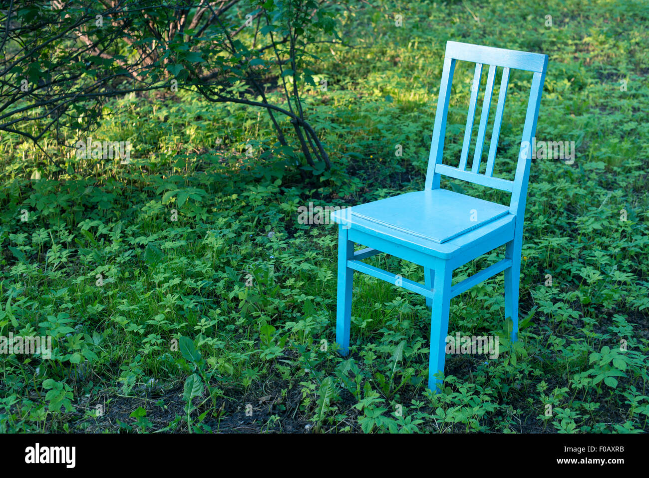 empty blue vintage chair on green garden meadow Stock Photo