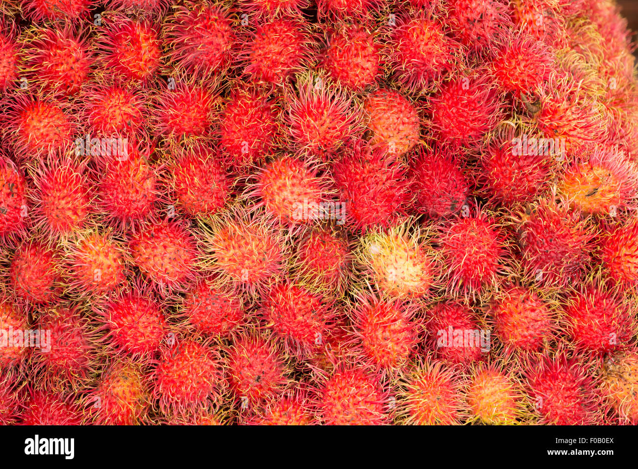 Rambutan tropical fruit in Thailand Stock Photo - Alamy