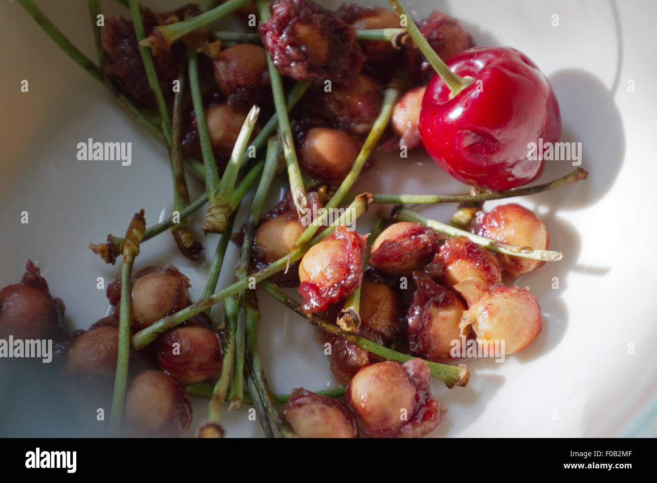 Close up of a bowl of cherry pits and stems, and one rotten cherry Stock Photo