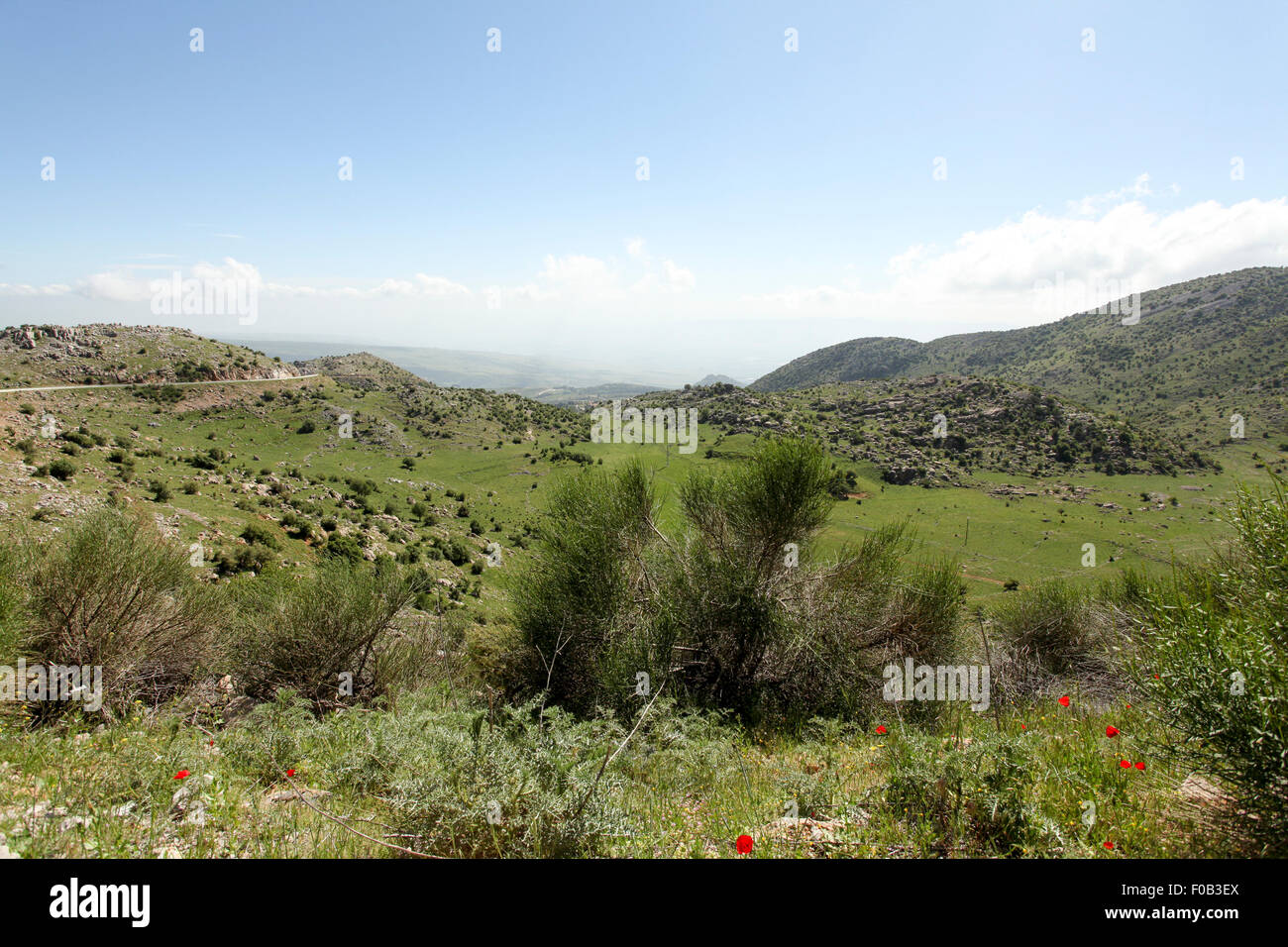 Golan Heights landscape Stock Photo - Alamy