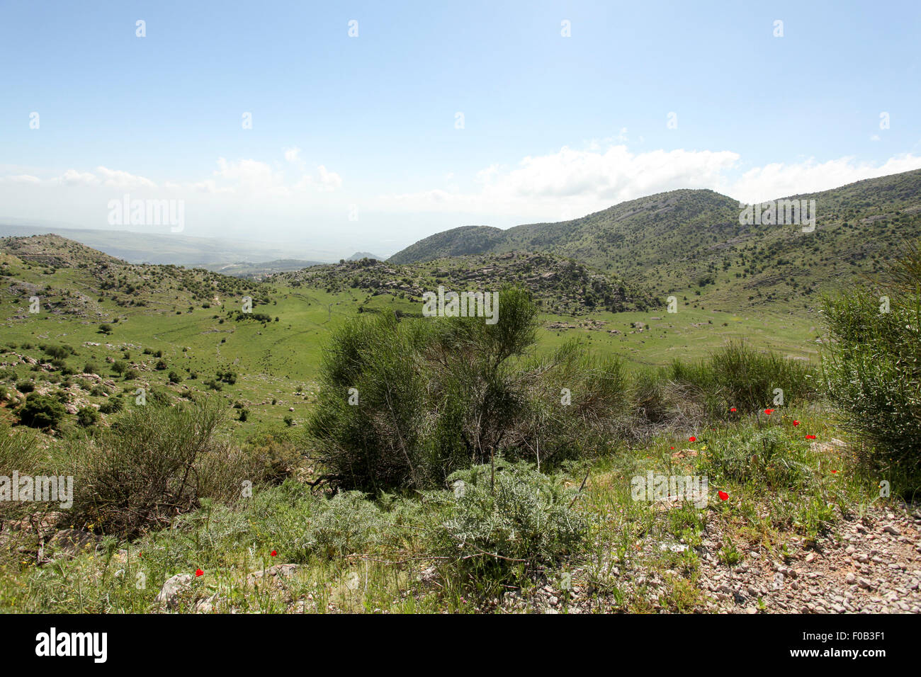 Golan Heights landscape Stock Photo - Alamy