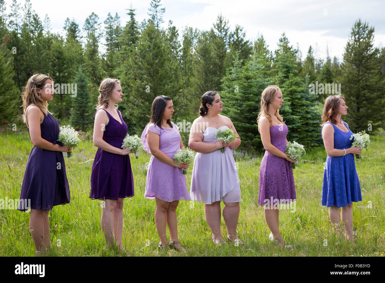 Dillon, Colorado - Bridesmaids watch an outdoor wedding ceremony. Stock Photo