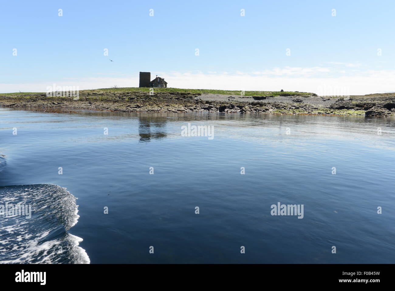 FARNE ISLANDS, NORTH SEA, NORTHUMBERLAND, INNER FARNE, ST CUTHBERTS