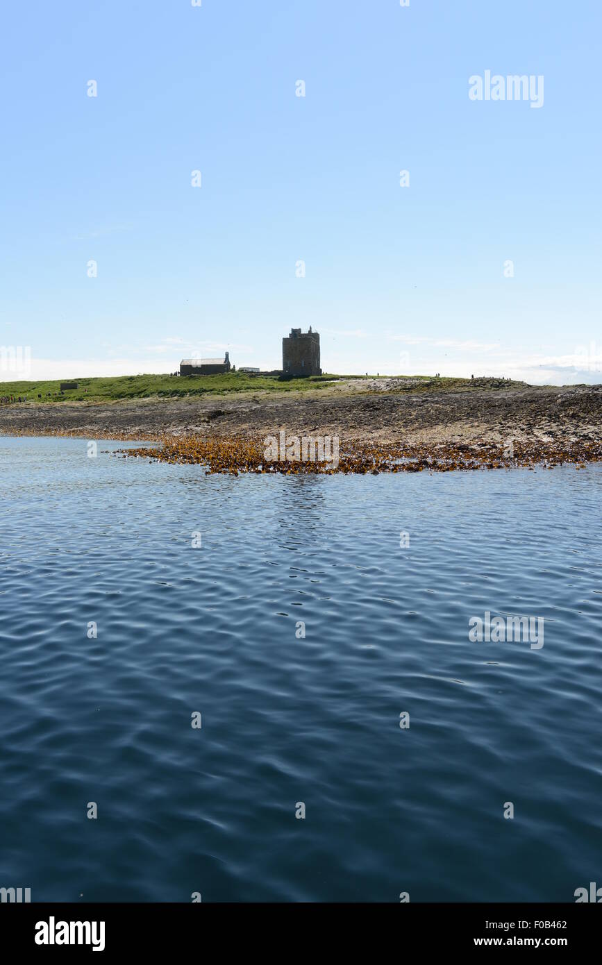 FARNE ISLANDS, NORTH SEA, NORTHUMBERLAND, INNER FARNE, ST CUTHBERTS