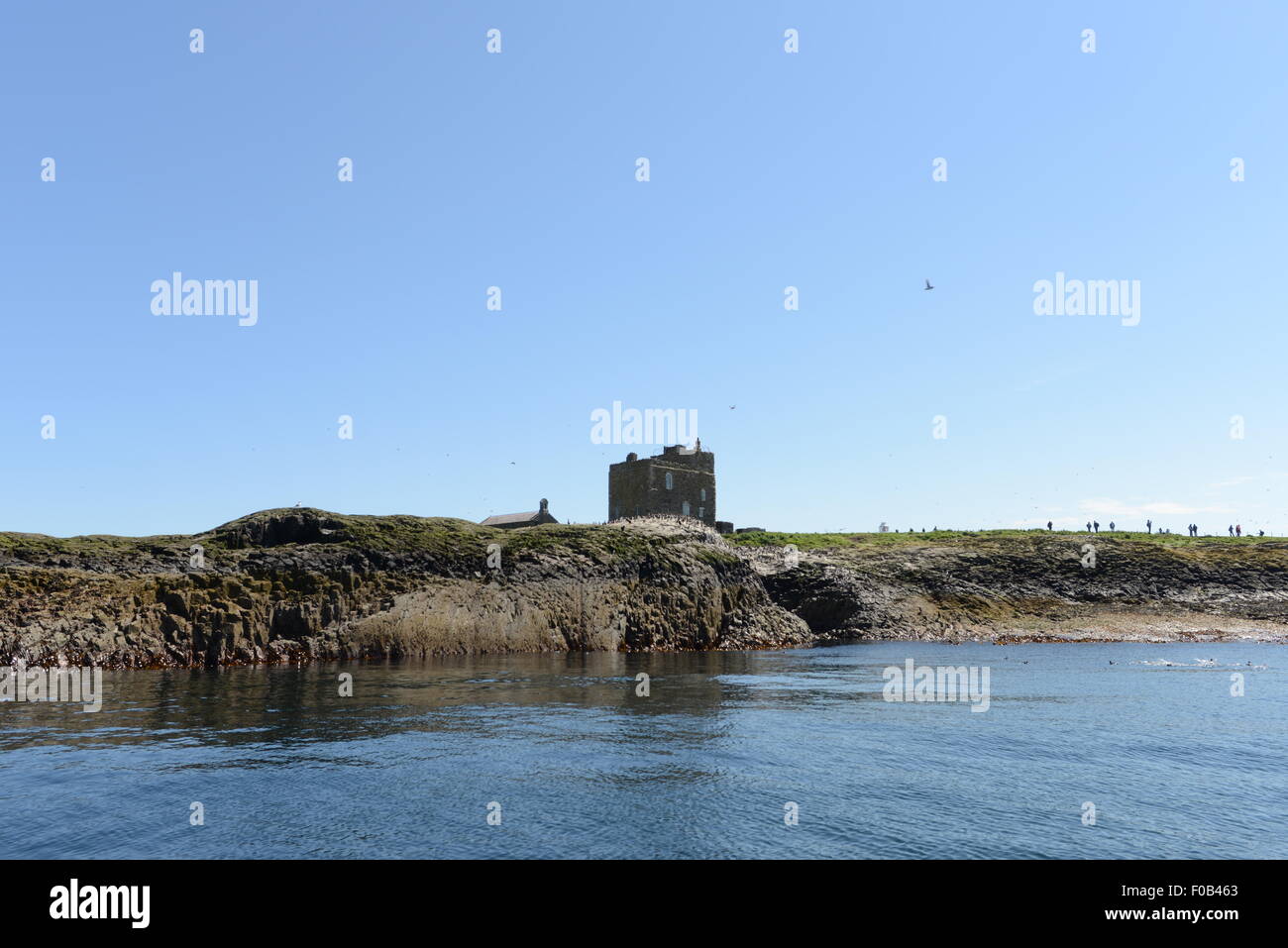 FARNE ISLANDS, NORTH SEA, NORTHUMBERLAND, INNER FARNE, ST CUTHBERTS