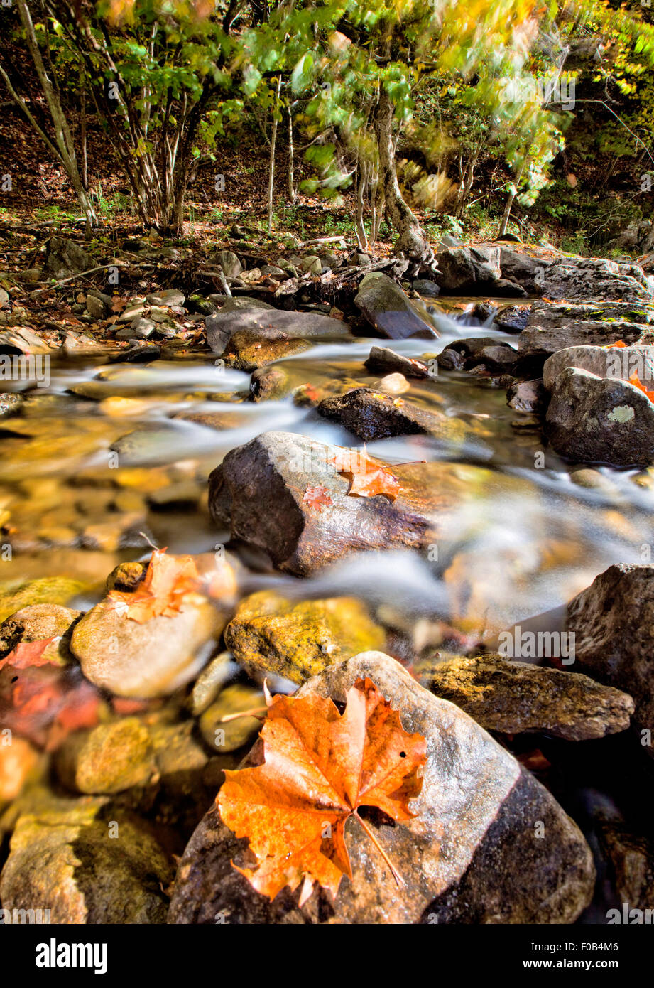 Beautiful fall leaves on rocks above flowing water, long exposure Stock Photo