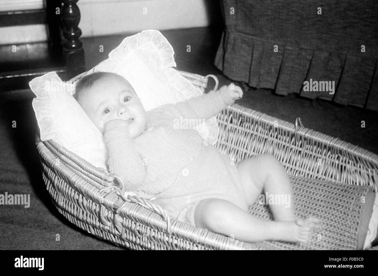 Baby in Moses basket Stock Photo Alamy