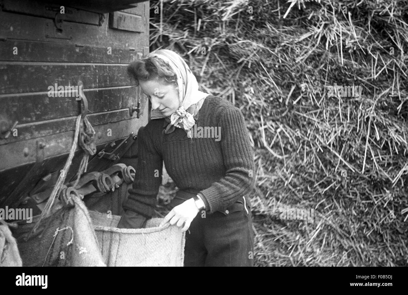 A young woman at work on a farm. Stock Photo