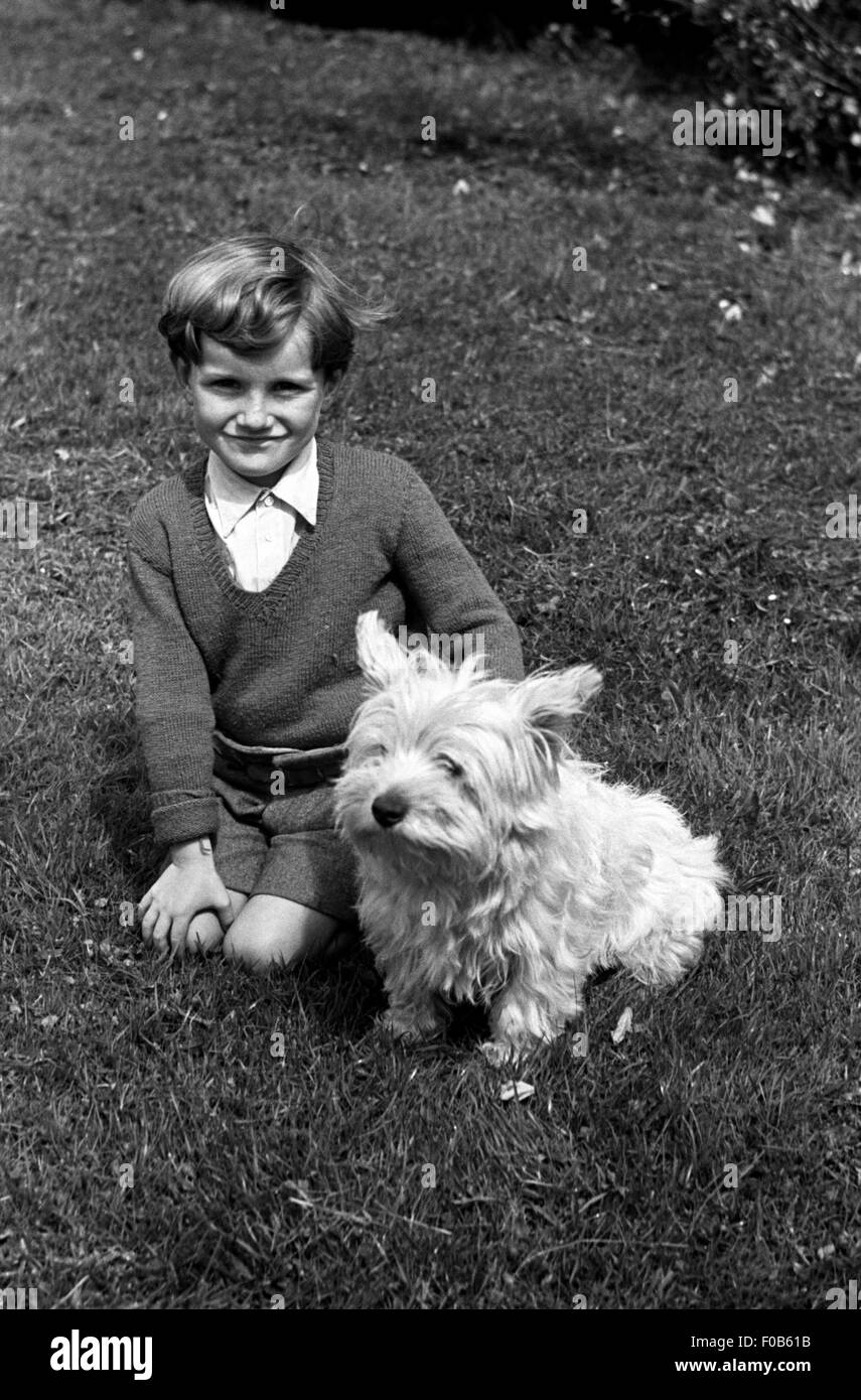 Little boy and West Highland Terrier. Stock Photo