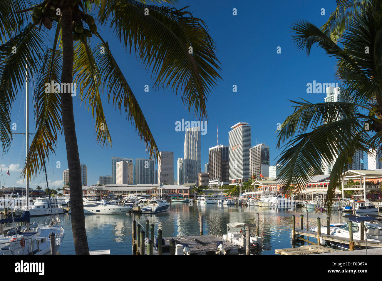 BAYSIDE MARKETPLACE MARINA DOWNTOWN SKYLINE MIAMI FLORIDA USA Stock Photo