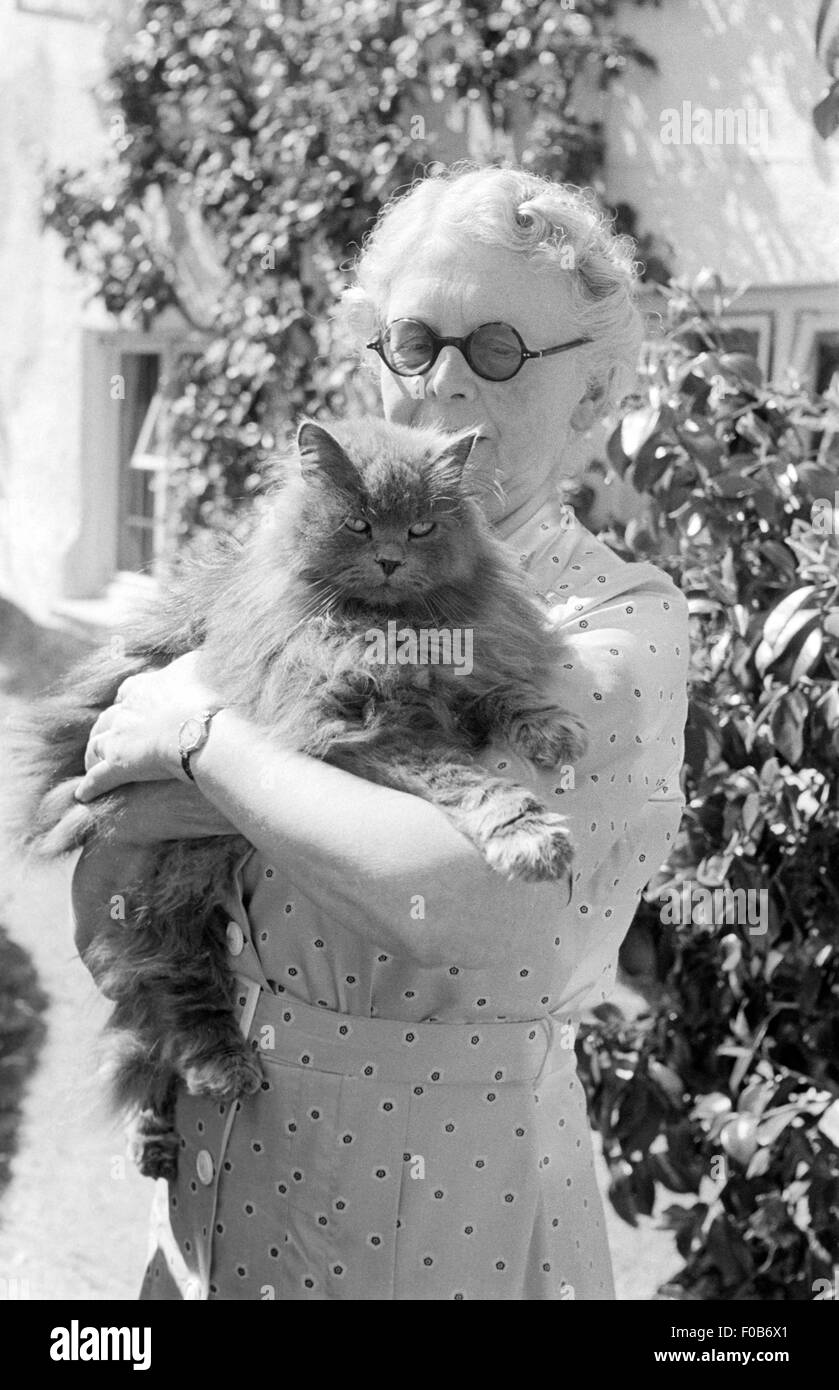 A senior woman holding a large cat Stock Photo