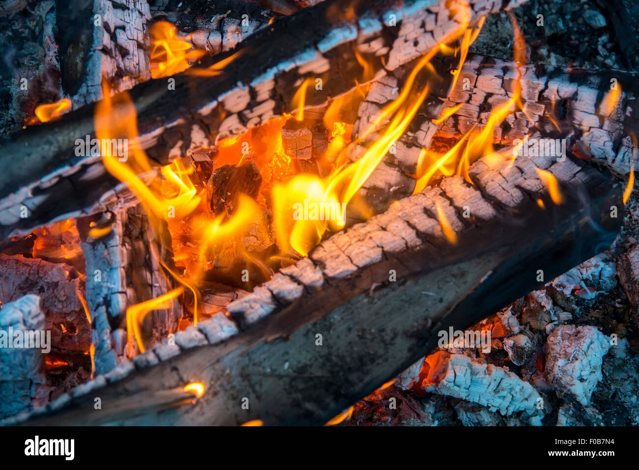 Bright flame of a fire and burn wood Stock Photo