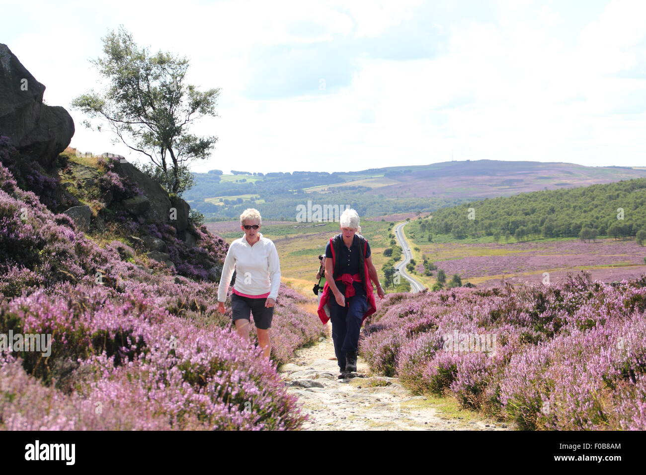 Walkers pass flowering heather on Burbage Edge near Sheffield  in the Peak District National Park, England UK Stock Photo