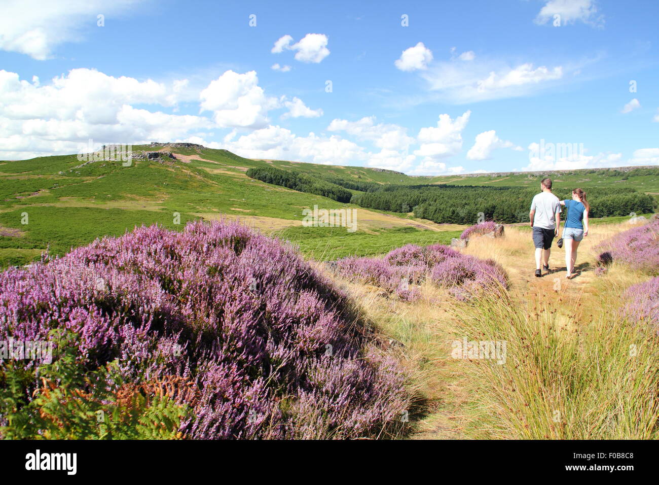 A young man and woman walks on heather moorland at Burbage Edge in the Peak District National Park, England UK Stock Photo