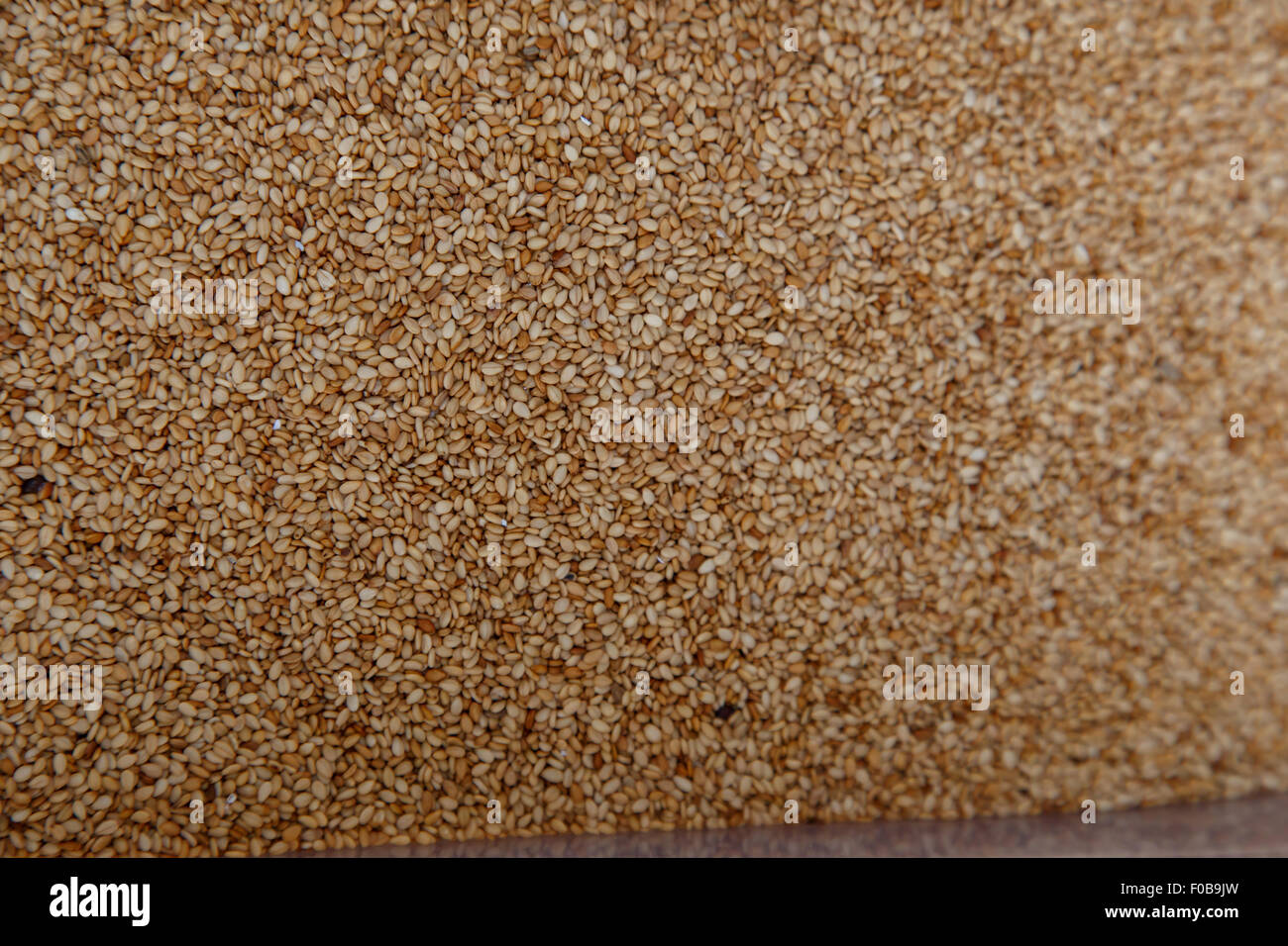 Closeup of lots of toasted sesame seeds Stock Photo Alamy