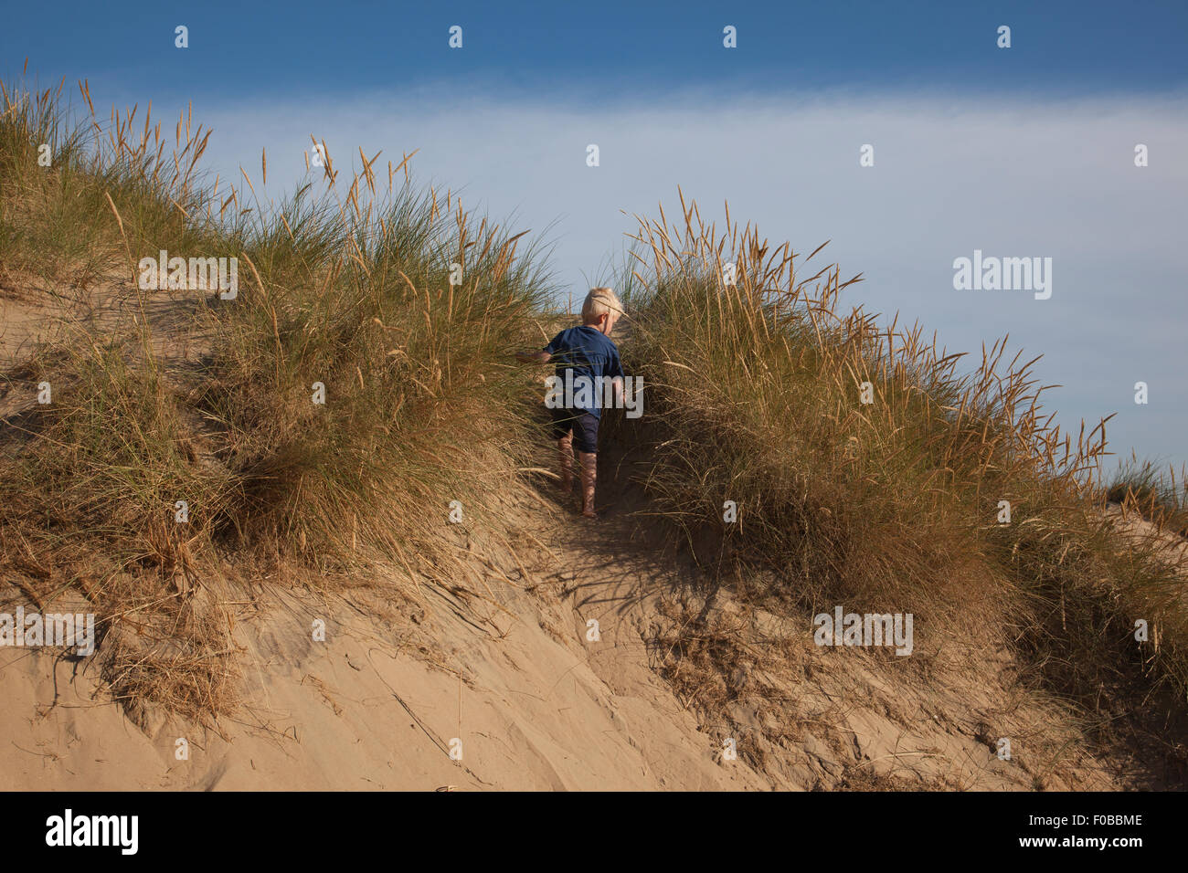Dunes camber sands beach east hi-res stock photography and images - Alamy