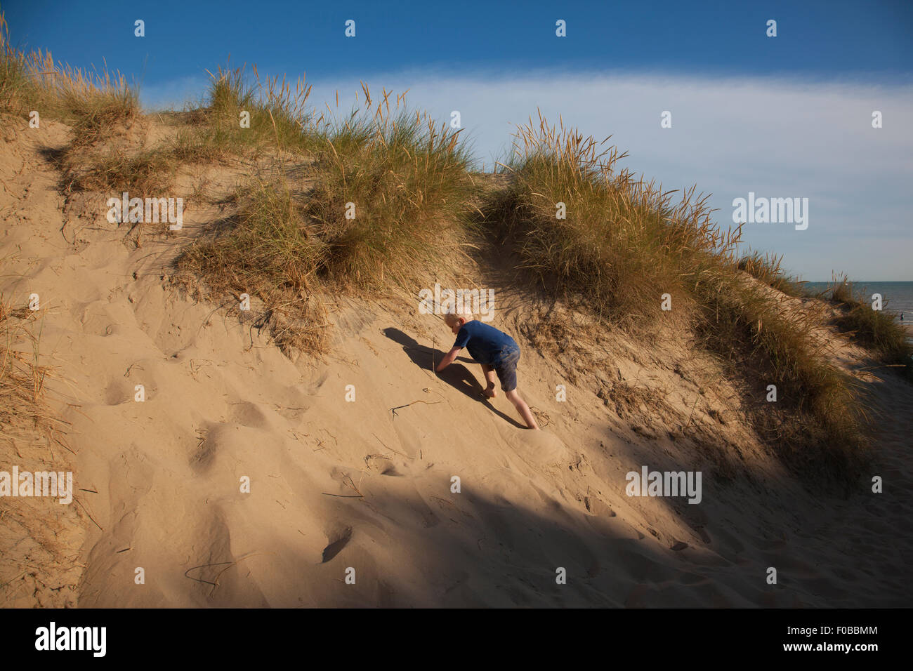 Sand dunes at Camber Sands beach, Camber near Rye, East Sussex, England, UK Stock Photo