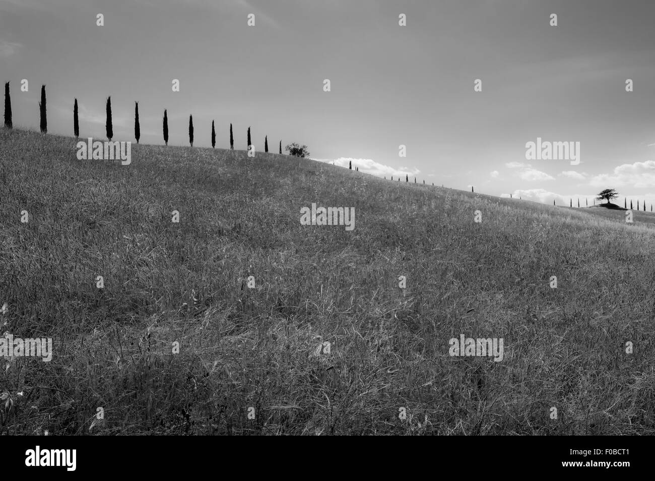 Tuscany country Black and White Stock Photos & Images - Alamy