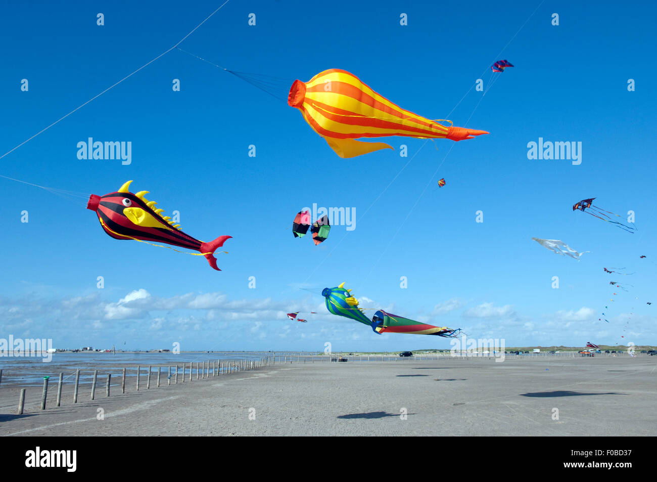 Drachen, Flugdrachen, Strand, Sankt Peter-Ording, Landschaft Stock Photo -  Alamy