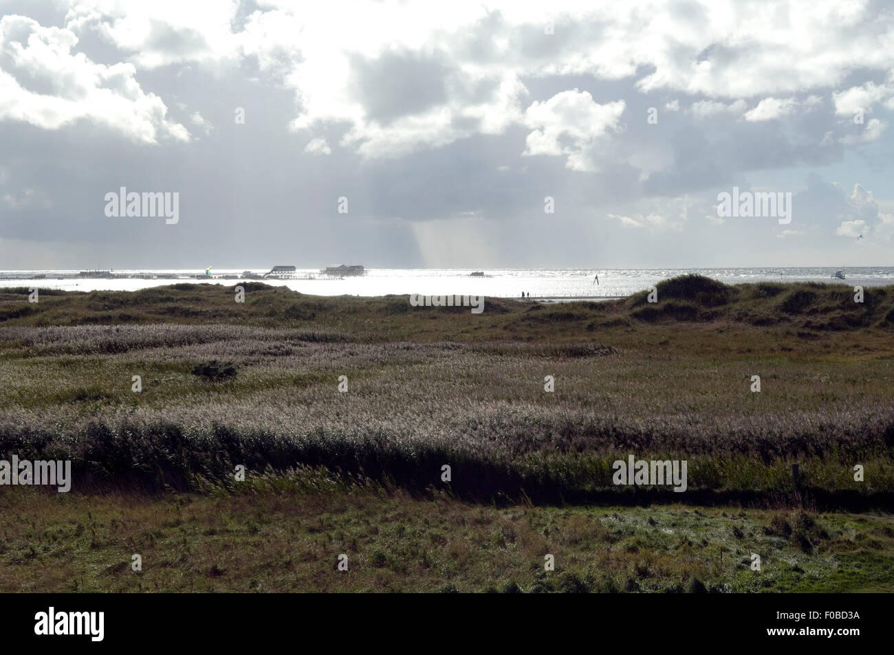 Deich; Duenen; Sankt Peter-Ording; Stock Photo