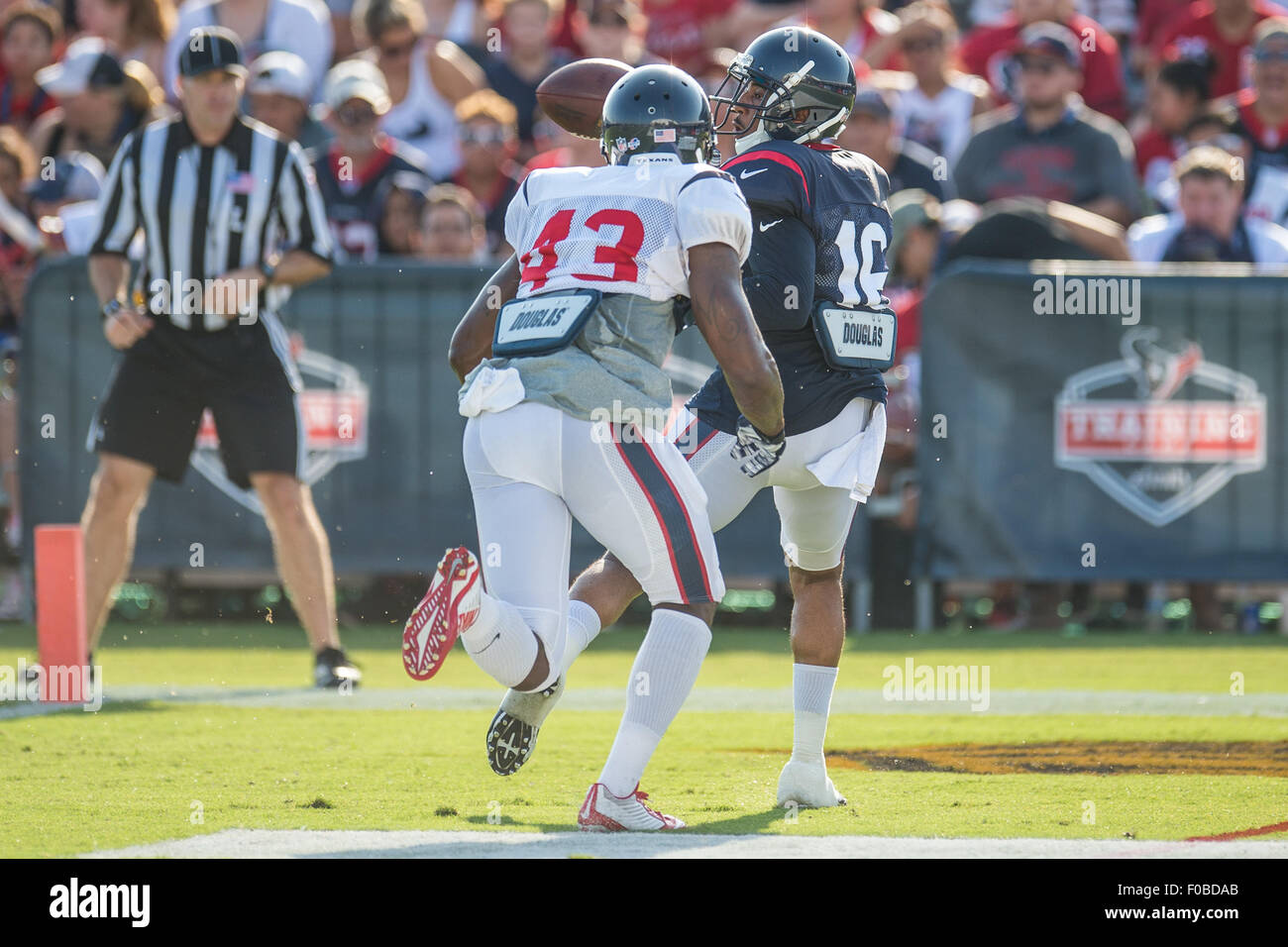 Houston, Texas, USA. 11th Aug, 2015. Houston Texans wide receiver Alan