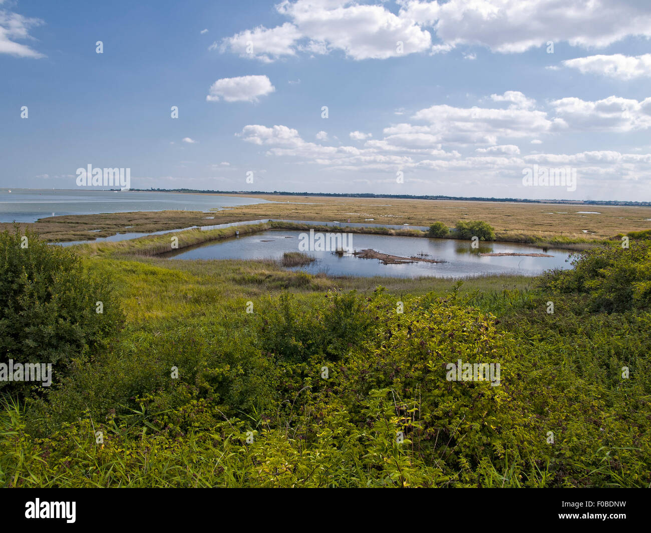 View of East Mersea Flats National Nature Reserve. Mersea Island. Essex