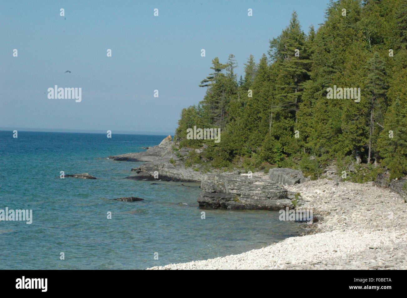 Bruce Trail Ontario Canada Stock Photo Alamy