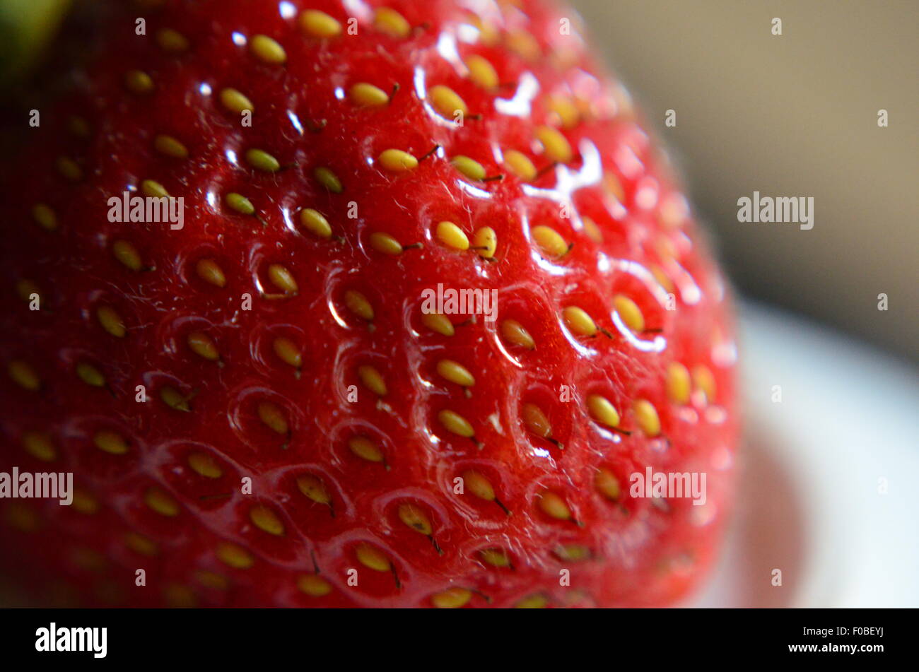 The Strawberry, close up, studio, Macro Stock Photo - Alamy