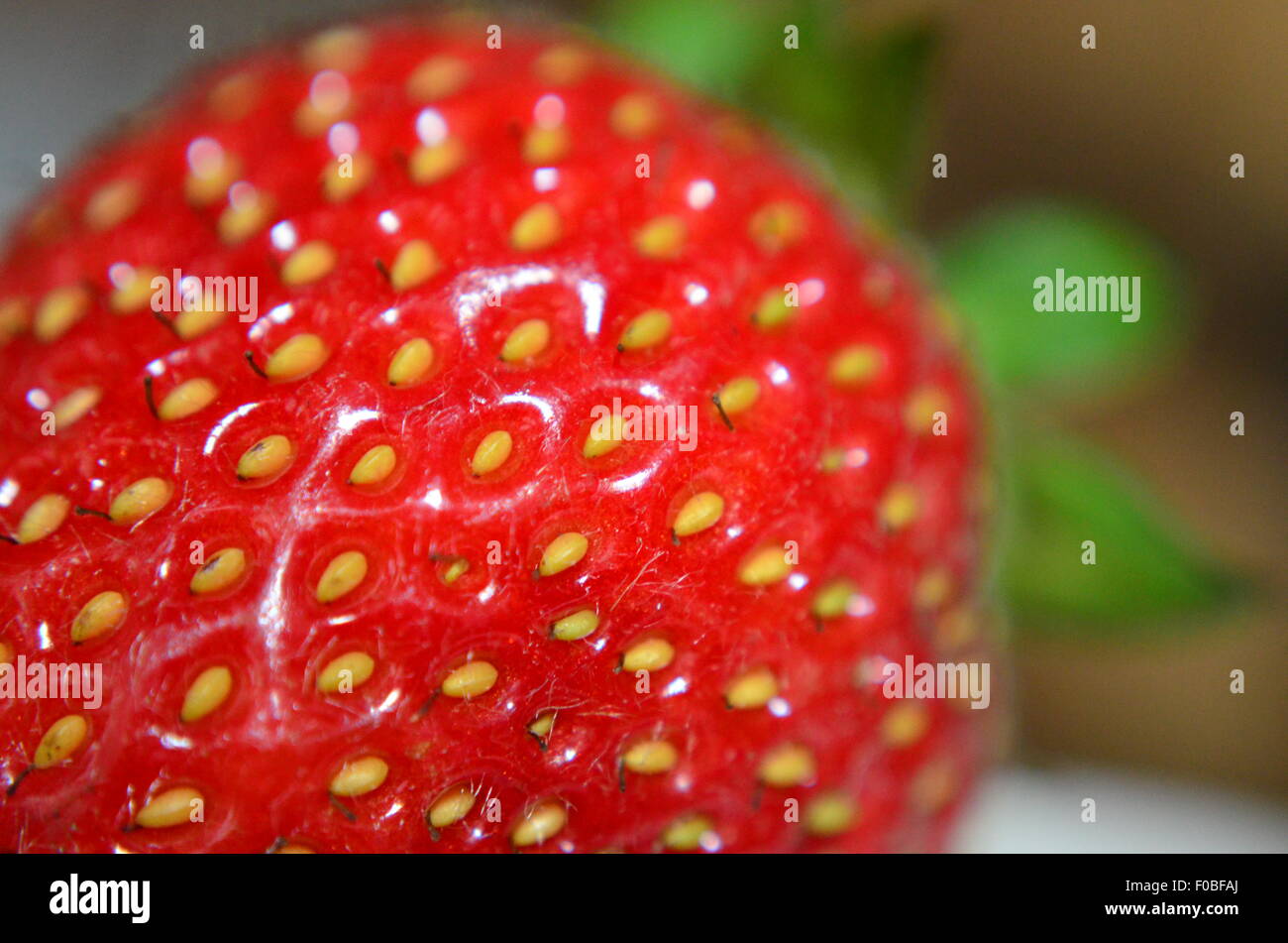 July strawberry hi-res stock photography and images - Alamy