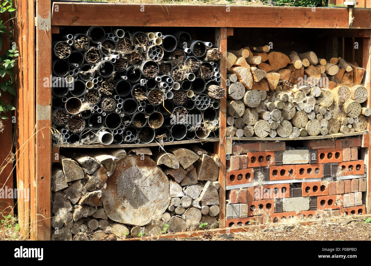 structure with wood, bricks & plastic tubes in which gives bugs and ...