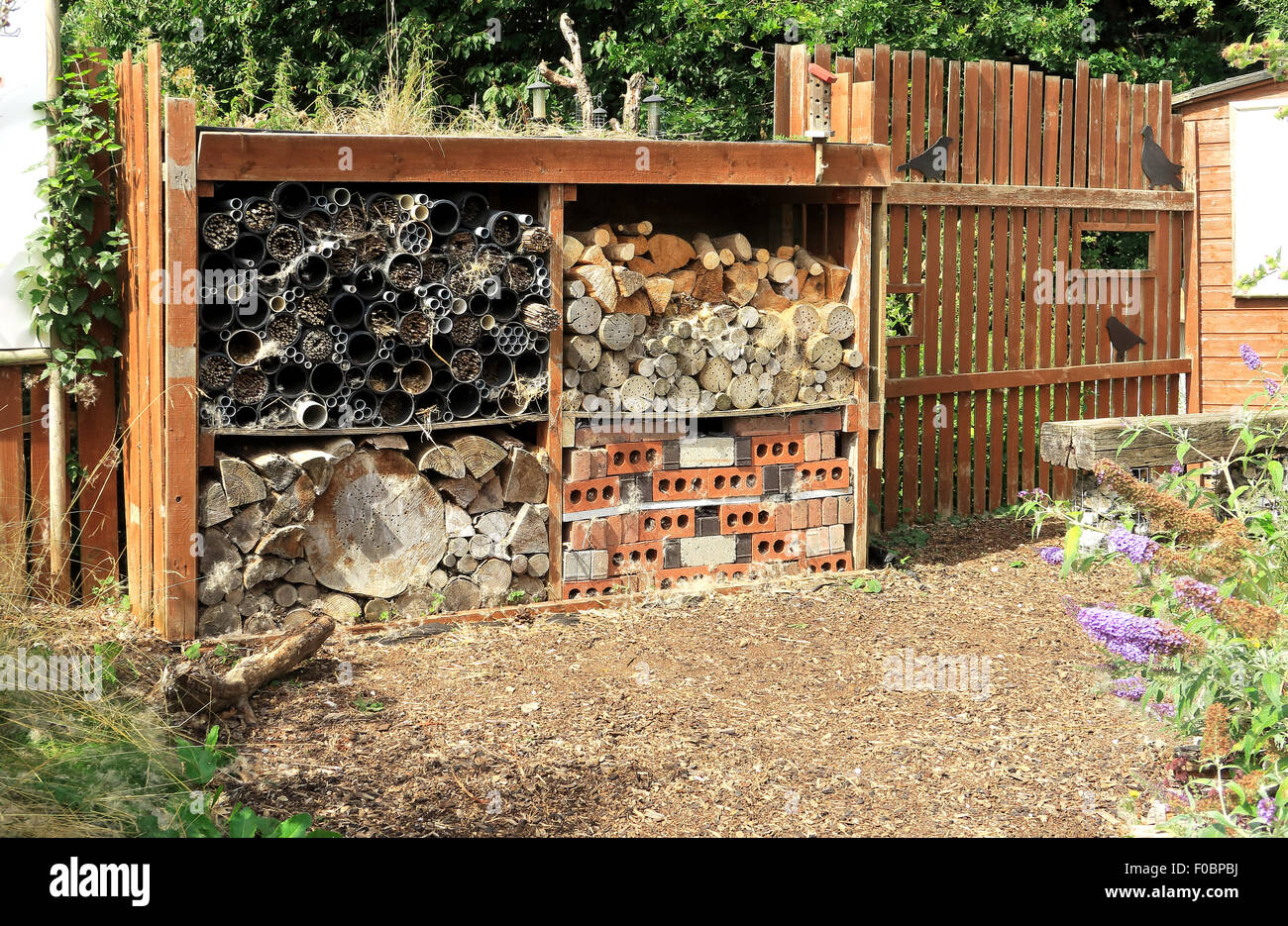 structure with wood, bricks & plastic tubes in which gives bugs and ...