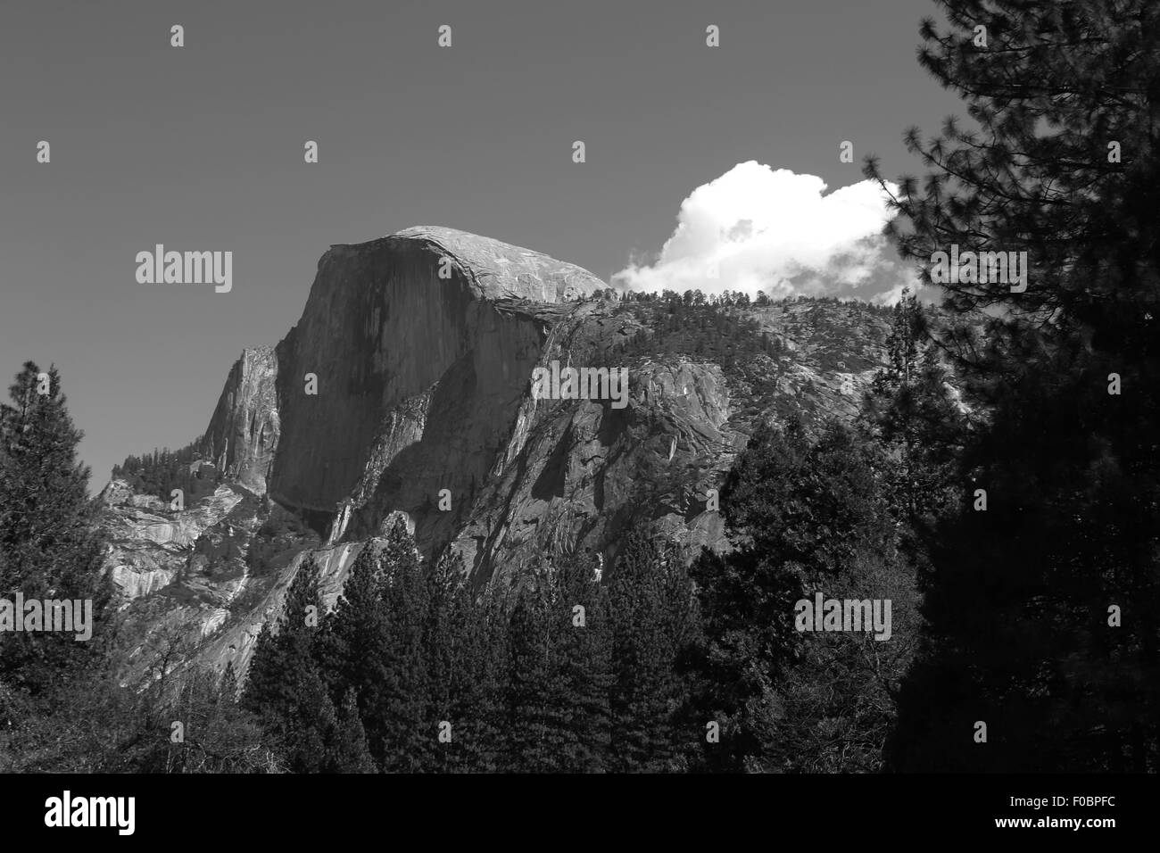 half dome yosemite national park california Stock Photo Alamy