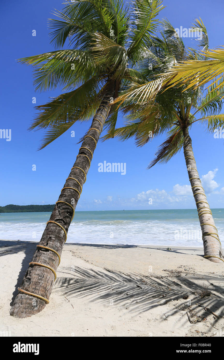 Pantai Cenang in Langkawi, Malaysia Stock Photo - Alamy