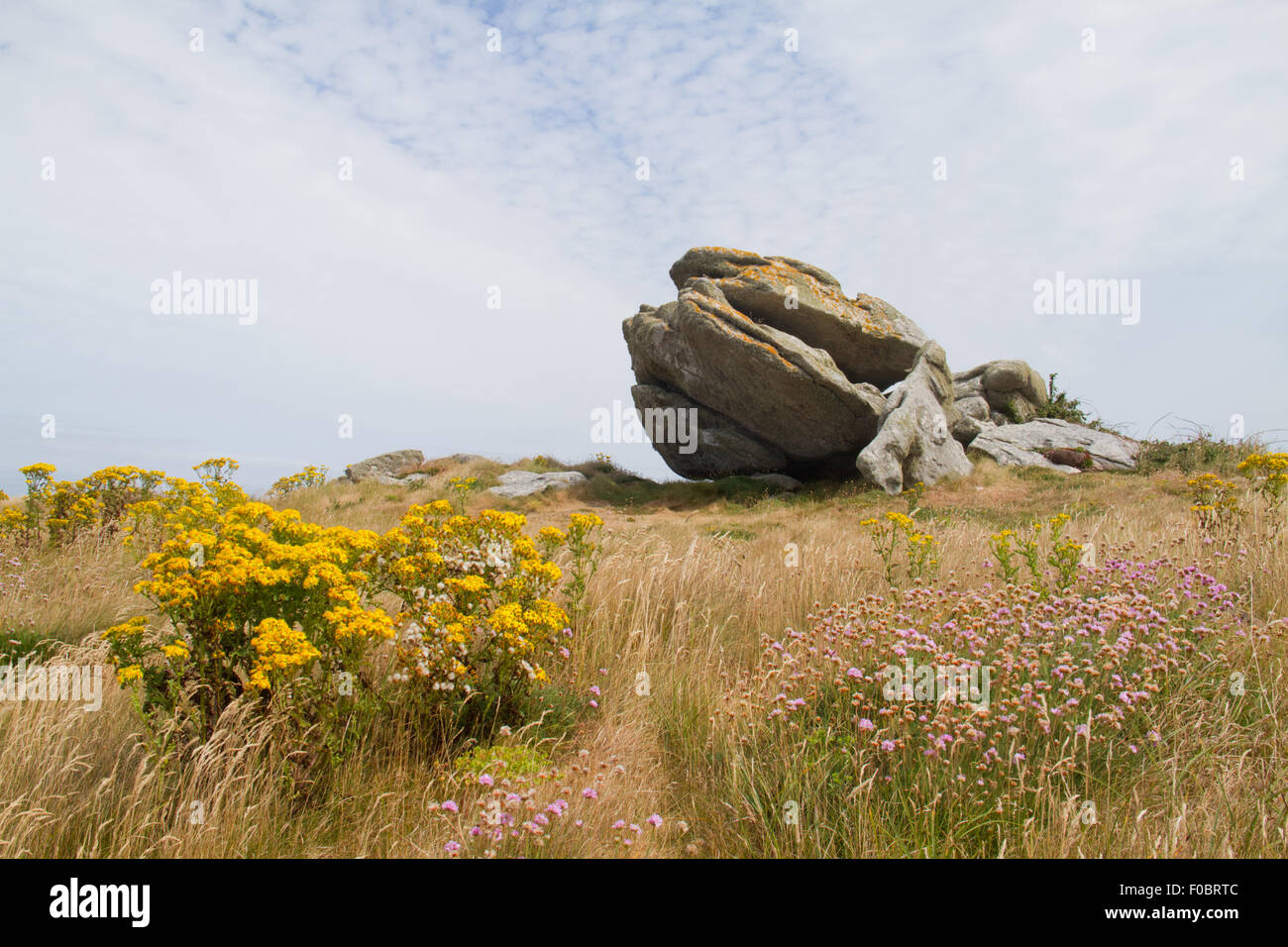 Eroded granite, a tor, also known as castle koppie, on the coast of Brittany, France. In the front Cushag and Marsh Daisy Stock Photo